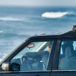 Four Days in Foiling Heaven — Steven’s Private Tow Foil Retreat in Portugal 3 Tow Foil Portugal 2